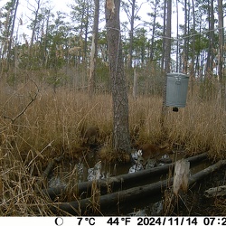 Game camera